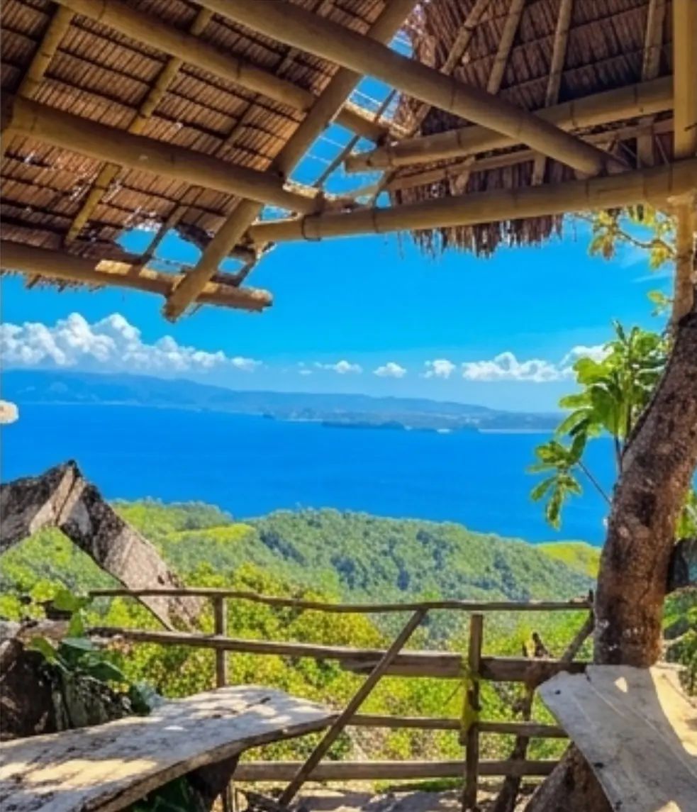 Panoramic views