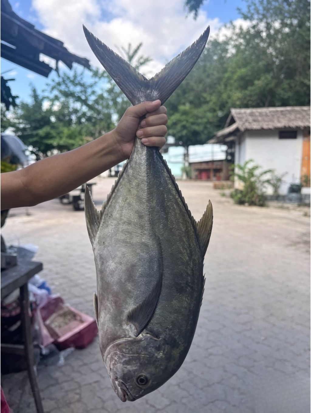 Local fishing