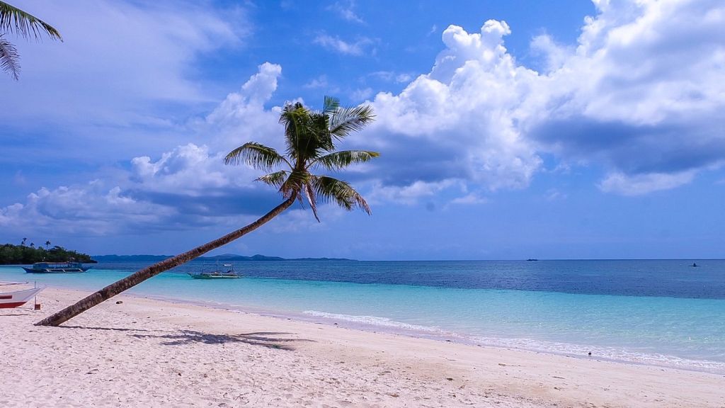 A palm tree leaning over a white-sand beach on Carabao Island