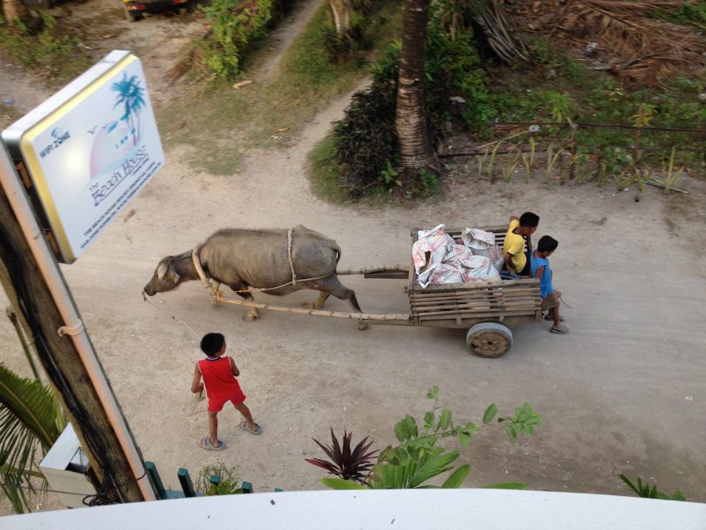 Children with a carabao cart on a village track