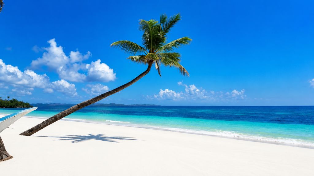 A palm tree leaning over a white-sand beach and turquoise sea