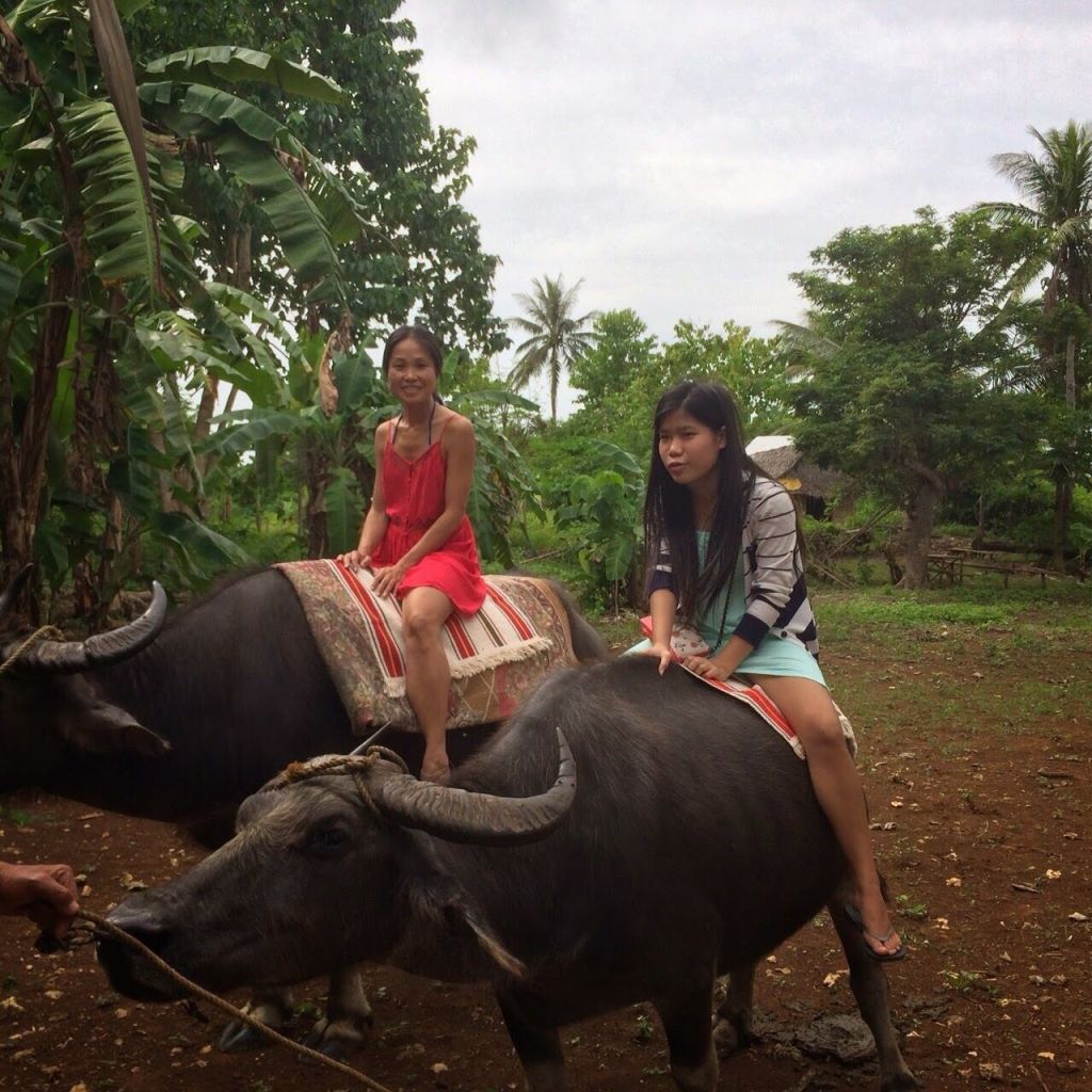 Children riding a carabao