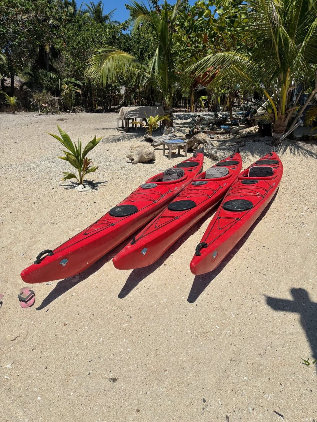 Sea kayaks ready on the beach