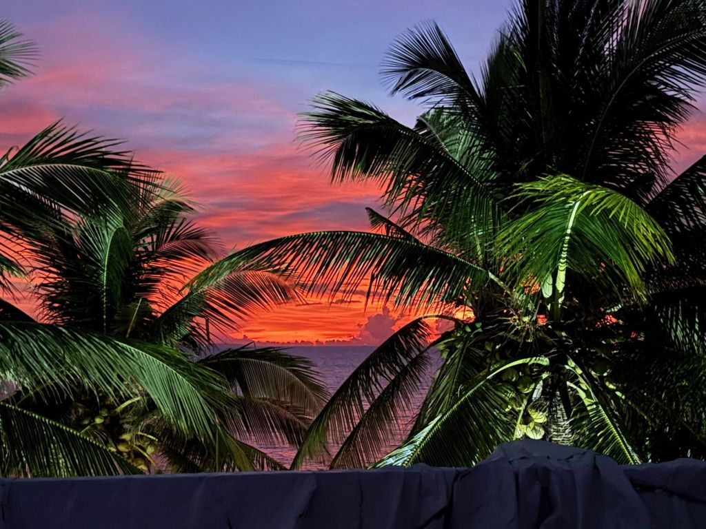 Palm trees against a red sunset