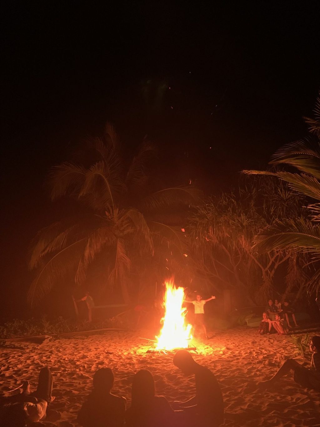 A bonfire on the beach at night
