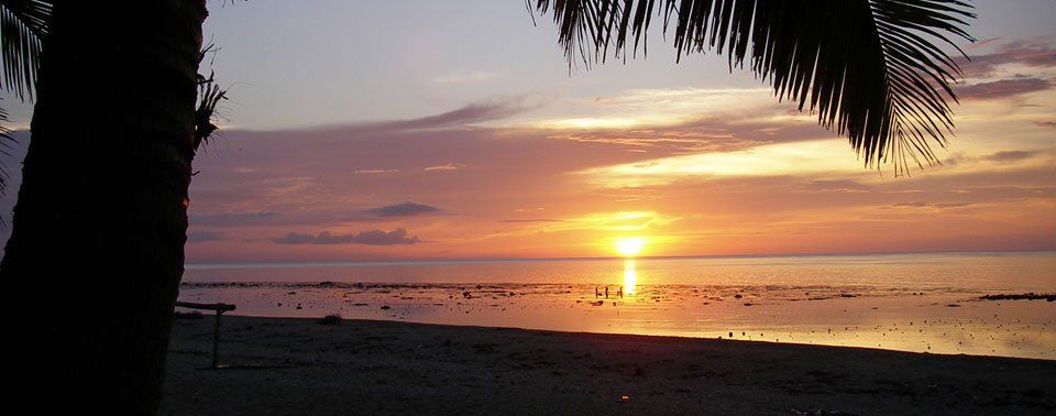 Sunset through the palms