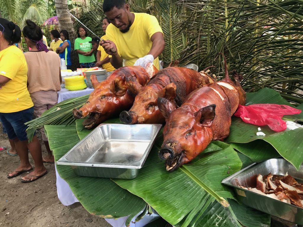Three lechon roasted for a big celebration, served on banana leaves